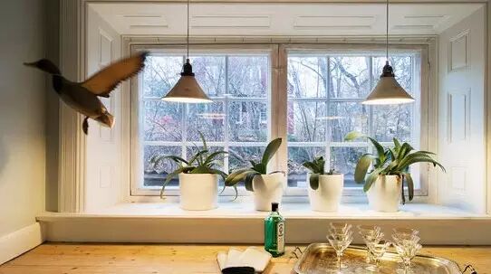 通风气窗还能这么做！