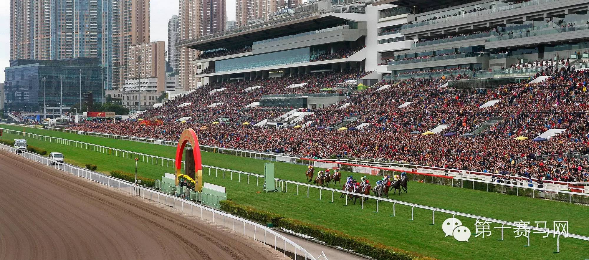 赛马运动在香港2015年8月专题