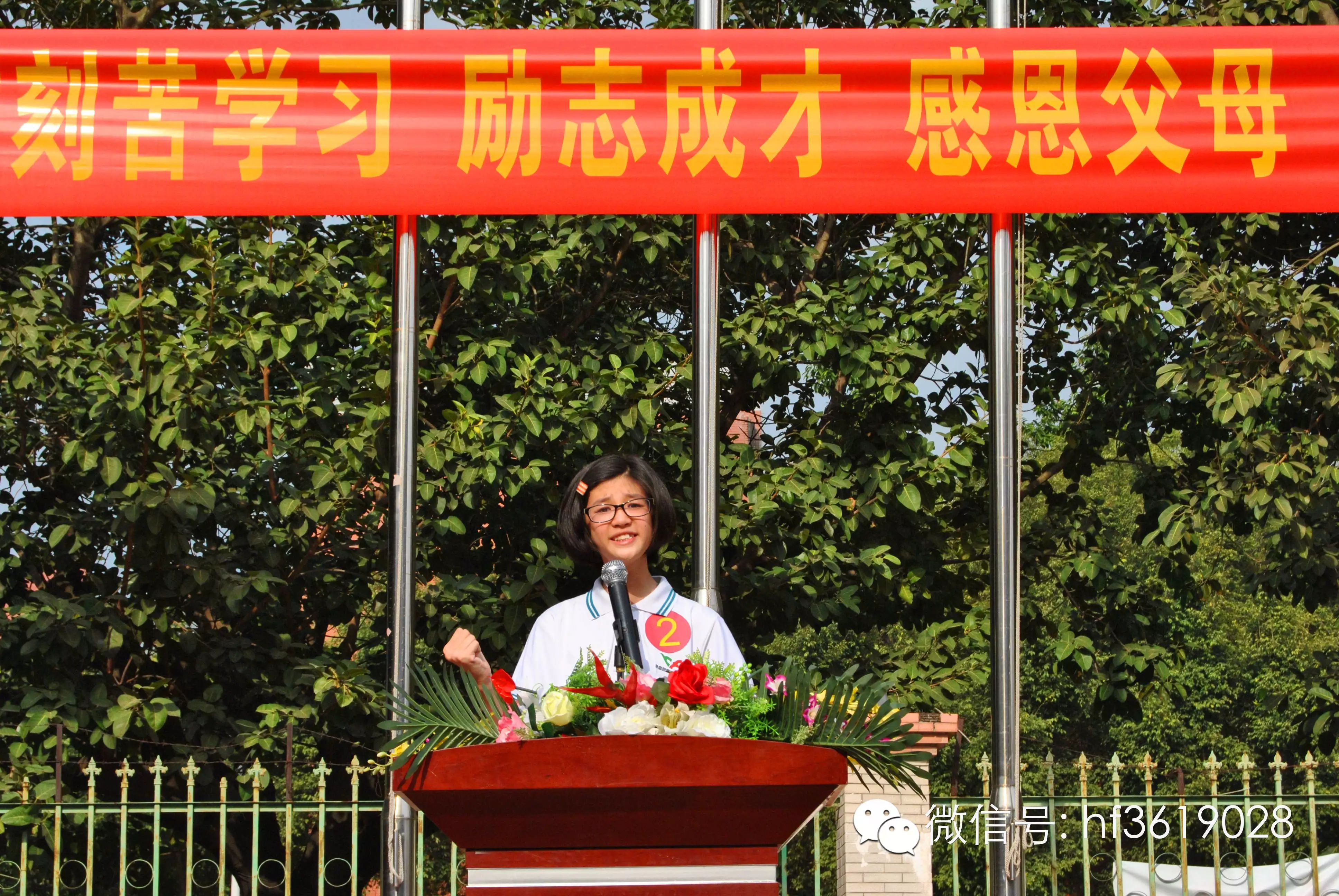 点击在新窗口中打开图片
