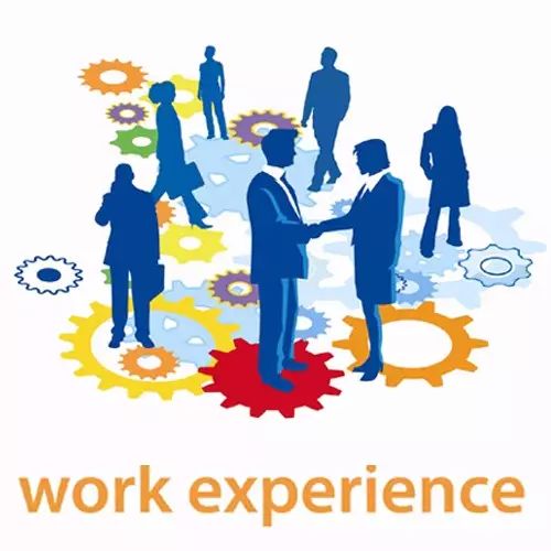 Working experience or work experience. Work experience. Work experience картинки. Previous work experience. Work experience рисунок Постер.