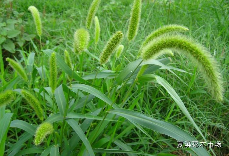 點擊打開原圖