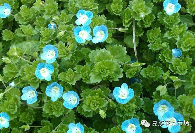 點擊打開原圖