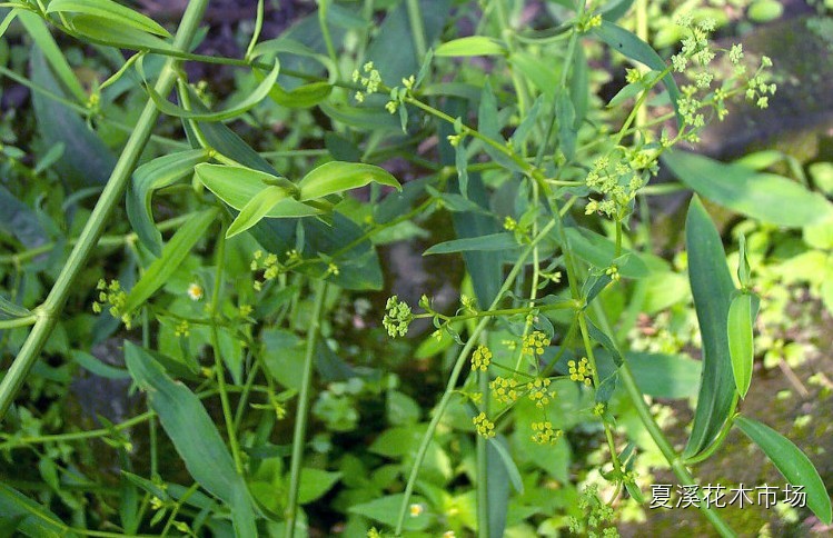 點擊打開原圖