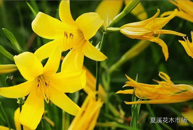 點擊打開原圖
