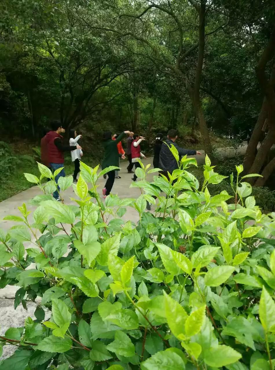 《无为之道·太极人生》冬日记 《无为之道·太极人生》冬日记