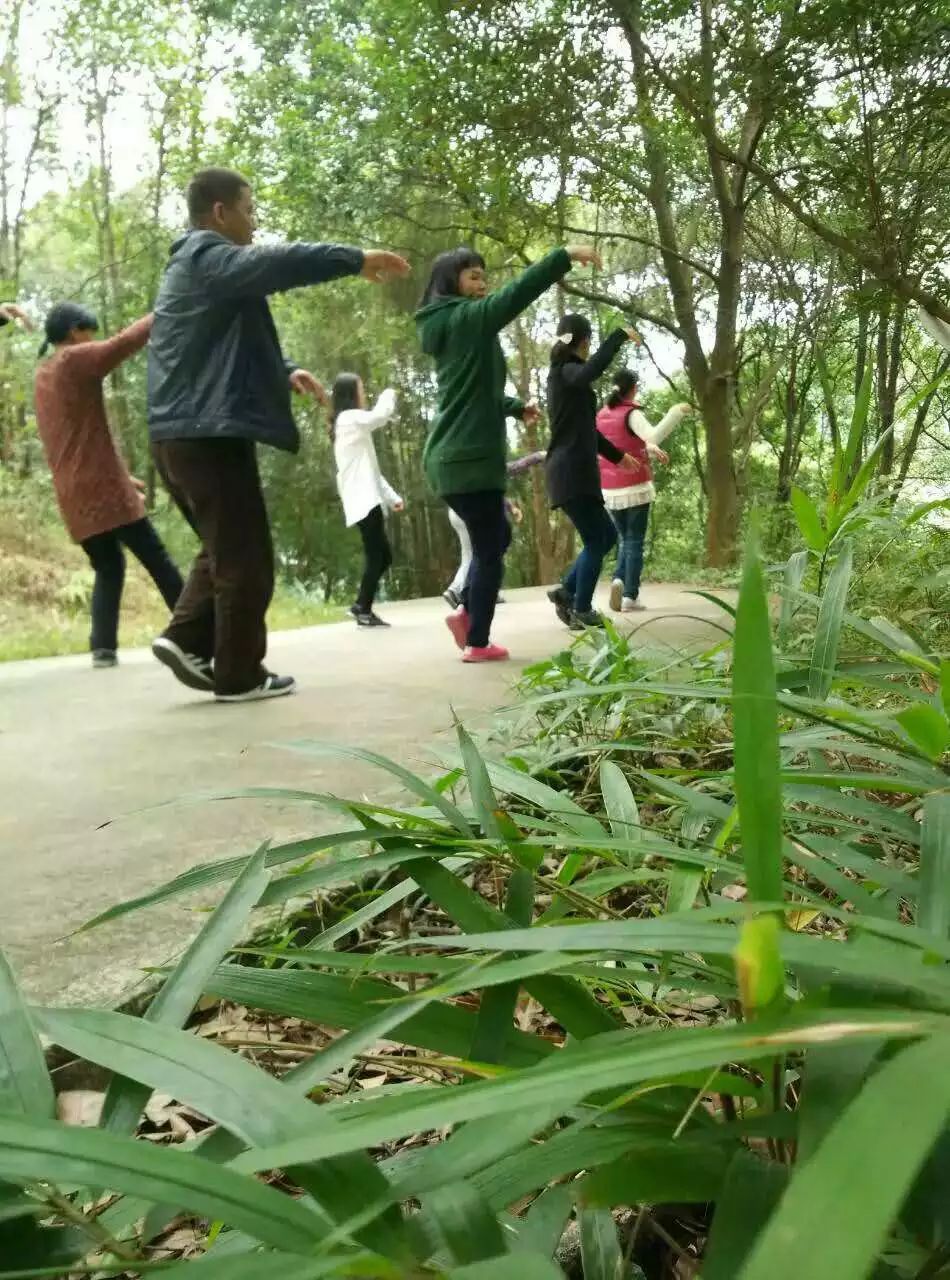 《无为之道·太极人生》冬日记 《无为之道·太极人生》冬日记