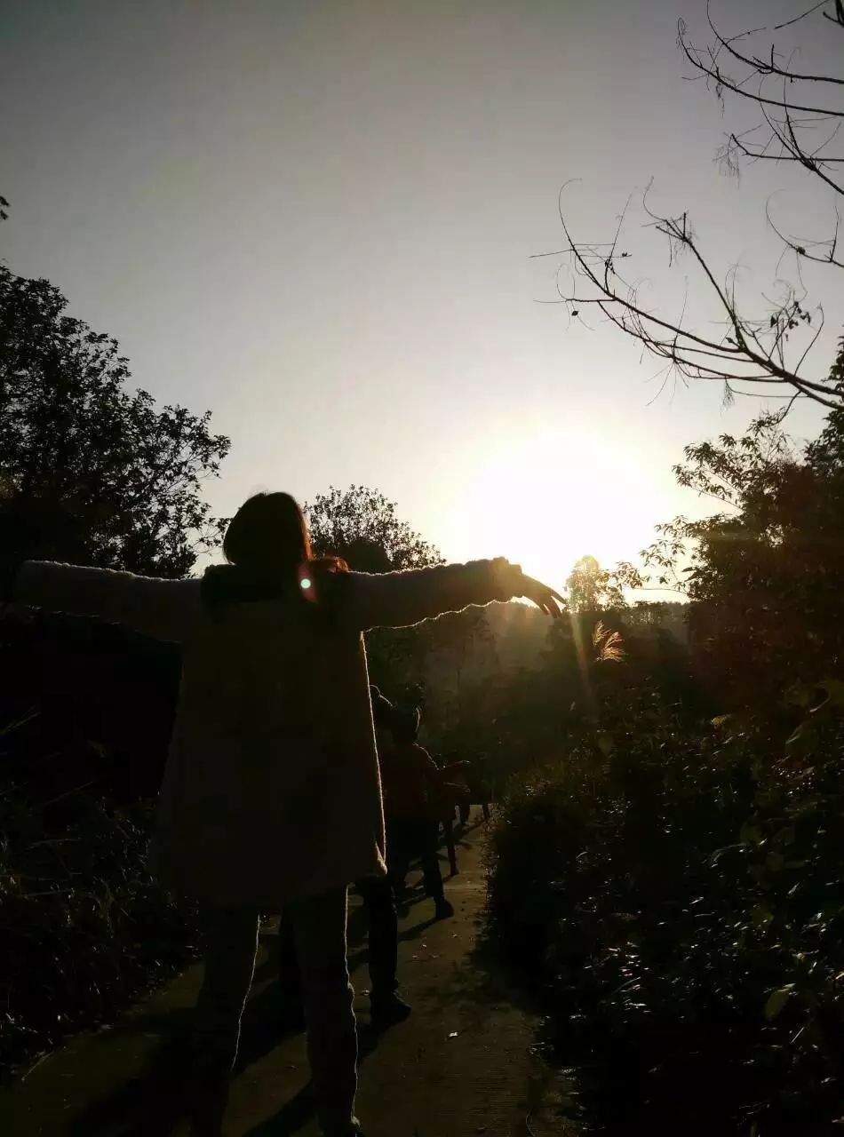 《无为之道·太极人生》冬日记 《无为之道·太极人生》冬日记
