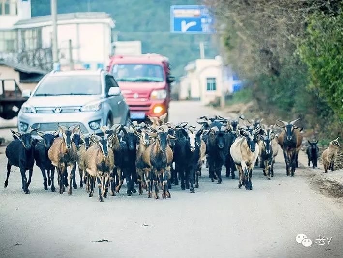 东川-12.jpg