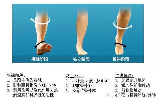 过度足内旋 生物力学影响 富脊贸易 护脊乐新概念健康专家 新浪博客
