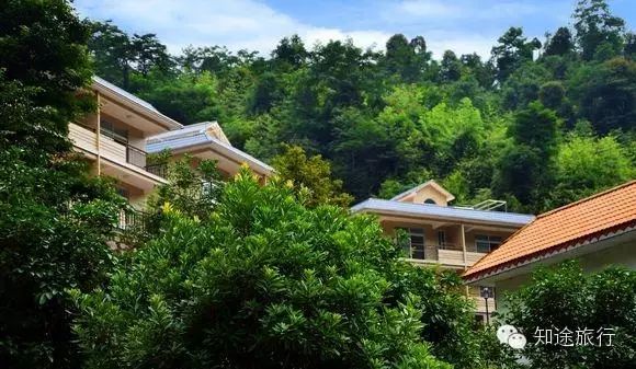 去年今日此山中,人面桃花相映红——乐昌九峰山赏花两天行 - 高山电台 - 高山电台 去年今日此山中,人面桃花相映红——乐昌九峰山赏花两天行 - 高山电台 - 高山电台