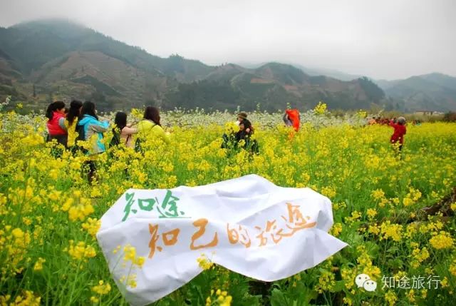 去年今日此山中,人面桃花相映红——乐昌九峰山赏花两天行 - 高山电台 - 高山电台 去年今日此山中,人面桃花相映红——乐昌九峰山赏花两天行 - 高山电台 - 高山电台