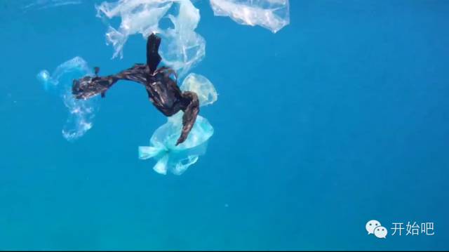 荷兰少年开始“拯救海洋”，我们啥时开始拯救焦化结板的土地？？？