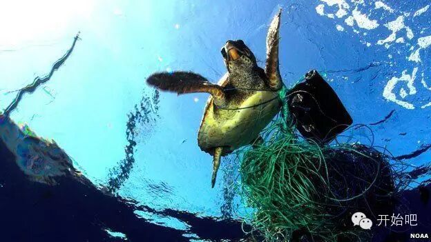 荷兰少年开始“拯救海洋”，我们啥时开始拯救焦化结板的土地？？？