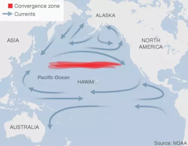 荷兰少年开始“拯救海洋”，我们啥时开始拯救焦化结板的土地？？？