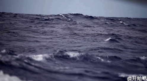 荷兰少年开始“拯救海洋”，我们啥时开始拯救焦化结板的土地？？？