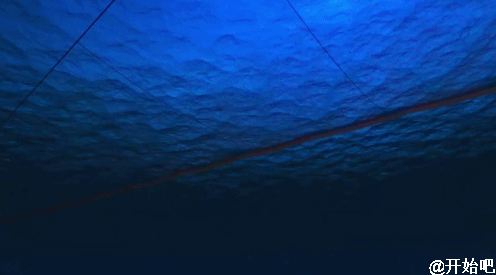 荷兰少年开始“拯救海洋”，我们啥时开始拯救焦化结板的土地？？？