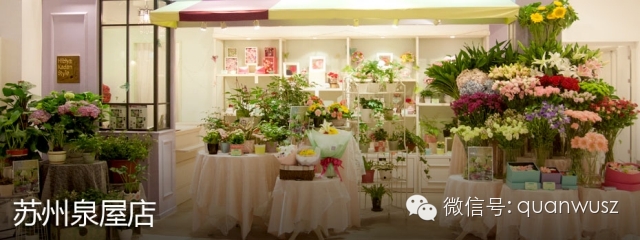 泉屋b1f日比谷花坛全场5折 文章