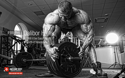 IFBB强肌肉Dalibor Hajek抵郑 拥有多个肌肉冠军的捷克勇士