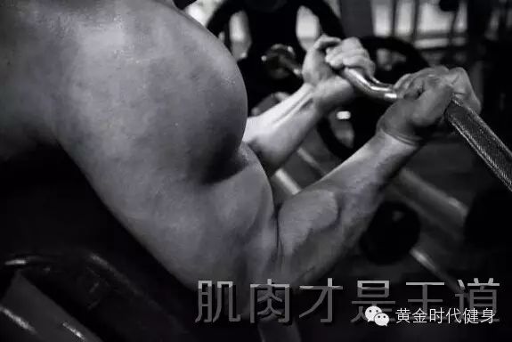 No muscle, No man.无肌肉、不男人。