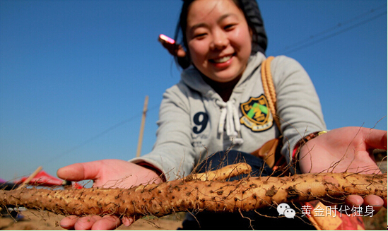 周末组团游玩： 11月2日/8日挖山药、泡温泉超值大团开始啦！