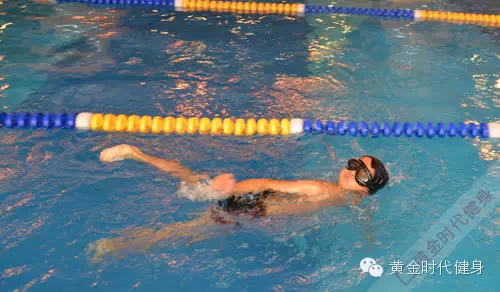 第二届黄金时代游泳黄金联赛诚邀各界赞助商，共享赛事