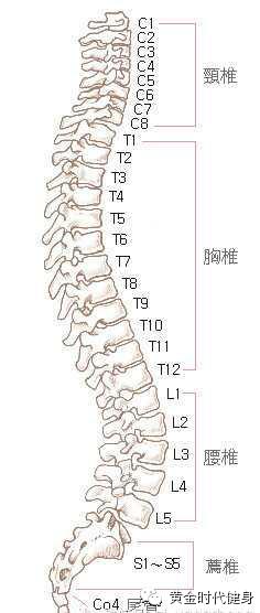 想要颈肩腰骶不痛？12.13中国好脊柱公开讲座免费给你指导！