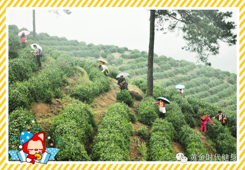 快乐游记】阳光明媚，带上好身体去游山玩水