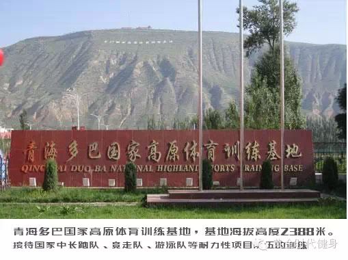 模拟高原训练：挑战极致健身。（请注意我的面罩不是用来防毒的）