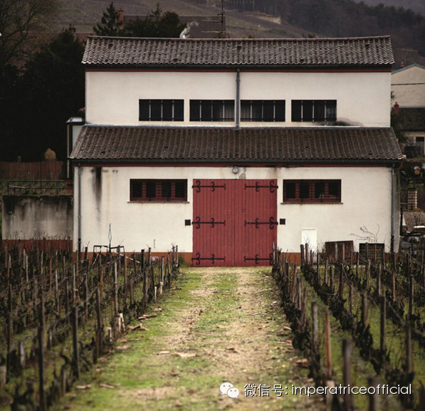 勃艮第酒神｜亨利·贾叶传奇