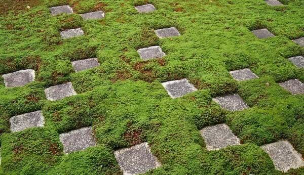 揭开日本庭院的核心秘密