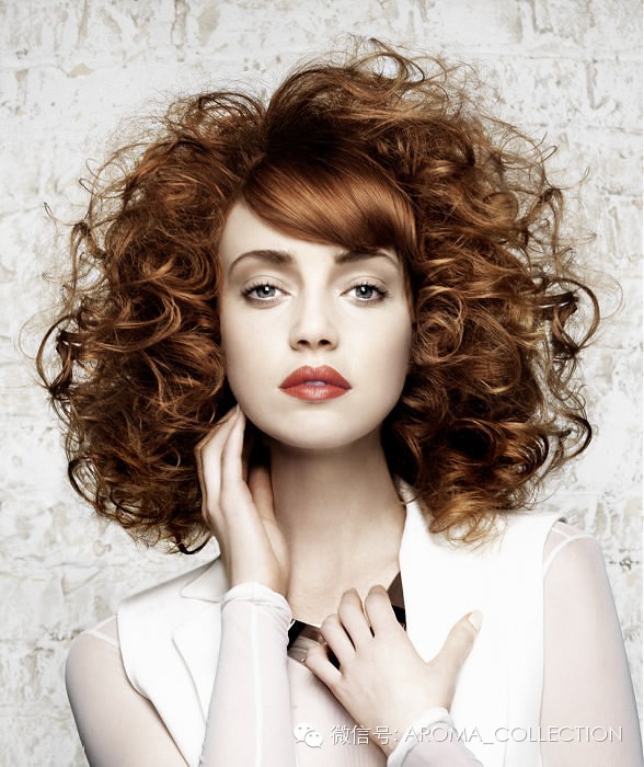 女士发型│欧美女士发型7款903 / 作者:发型顾问 / 帖子ID:112173