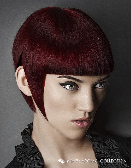 女士发型│欧美女士发型7款38 / 作者:发型顾问 / 帖子ID:112173