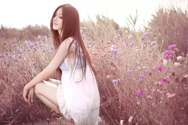 微信公众平台编辑器花美人更美图文文章模板素材样式下载