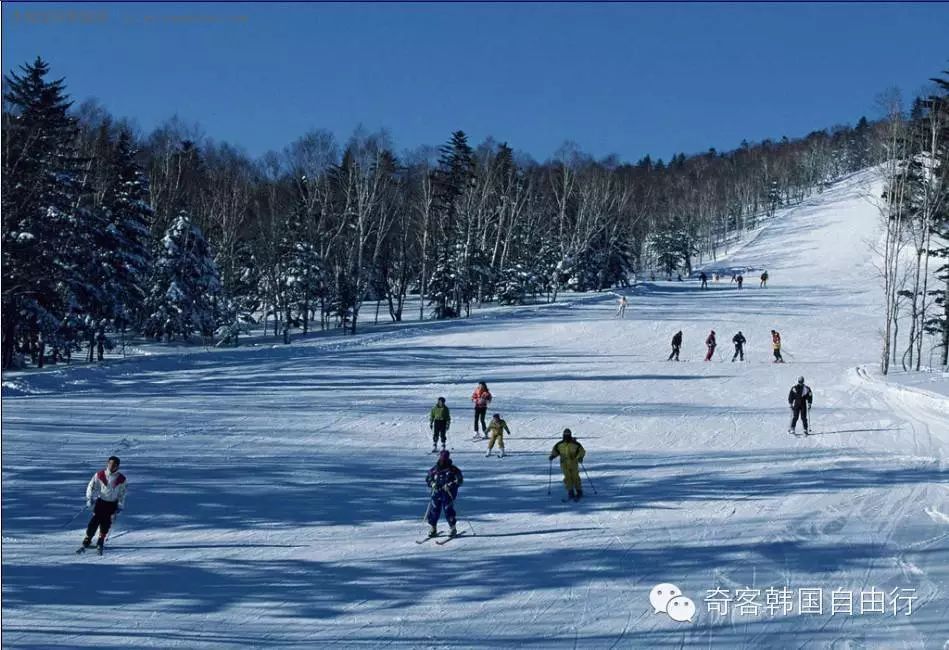 第二天：滑雪之江原道