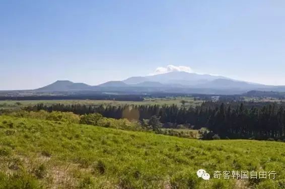 山君不离 山君不离