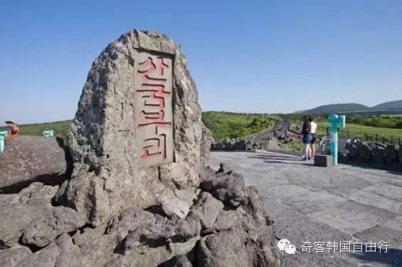山君不离 山君不离