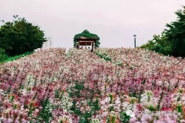 首尔奥林匹克公园