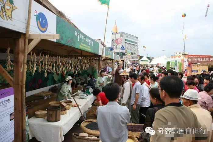 锦山人参节