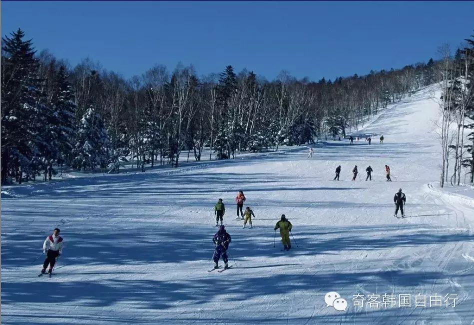 川大明度假村——距汉城只有一小时车程 川大明度假村——距汉城只有一小时车程
