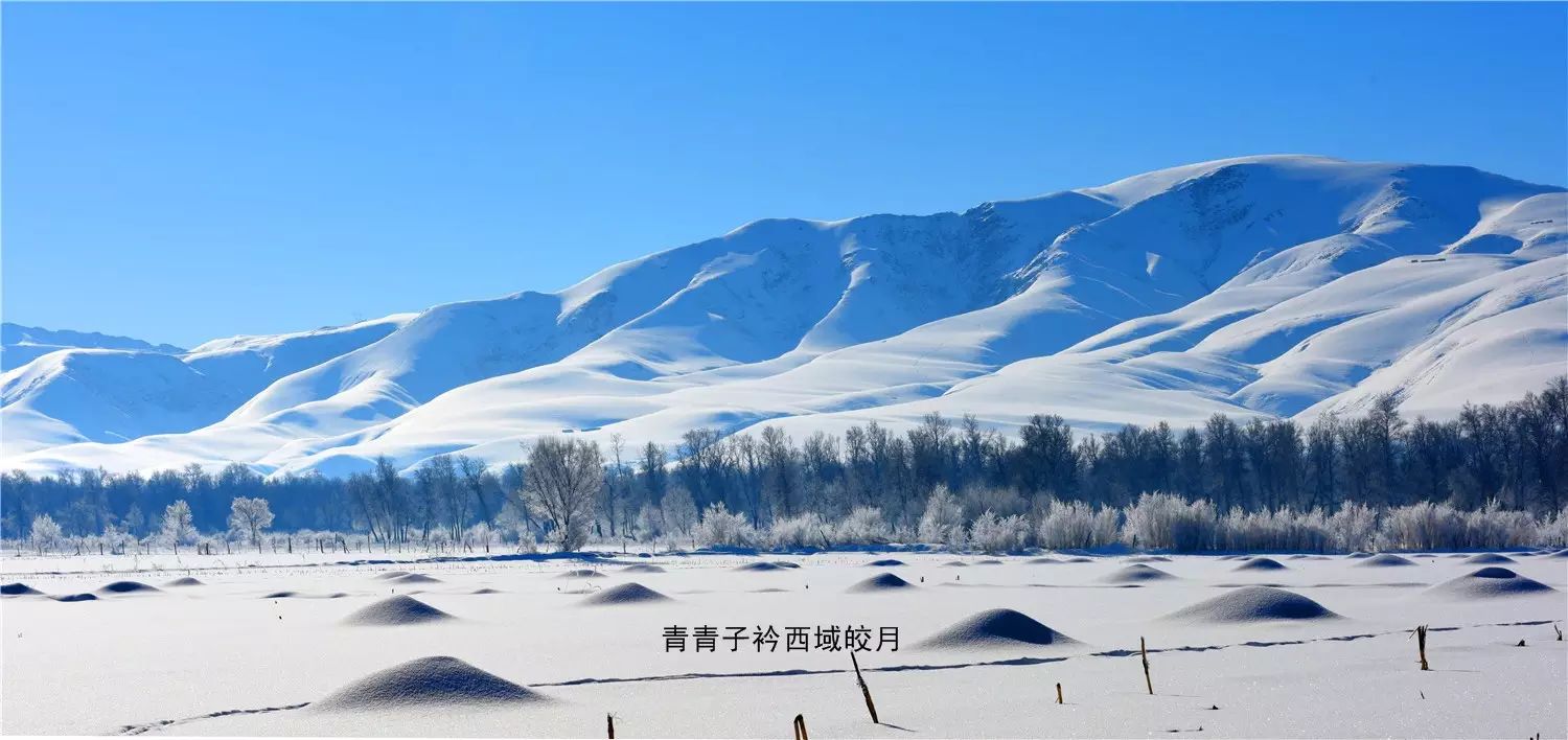 隐藏在塞外江南里的好景致 <wbr>尼勒克