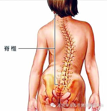 什么是椎管狭窄症 腰椎管狭窄 疾病介绍