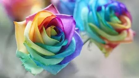 http://7xo6kd.com1.z0.glb.clouddn.com/upload-ueditor-image-20160217-1455674905298034354.jpg