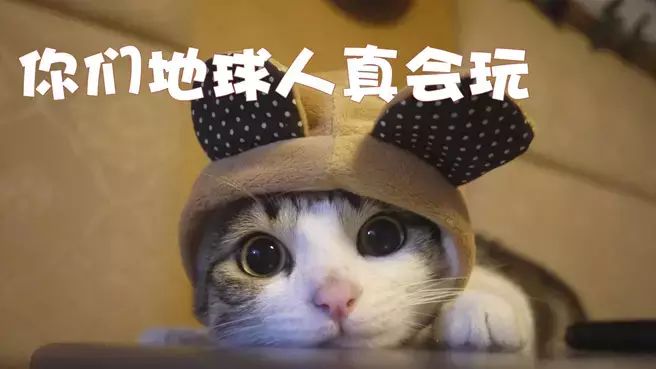 http://7xo6kd.com1.z0.glb.clouddn.com/upload-ueditor-image-20160217-1455675062856045444.jpeg