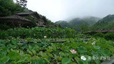 С����&nbsp;<wbr>���ź���ȥ���У�Ӥ�׶���ͥ��;���ι���