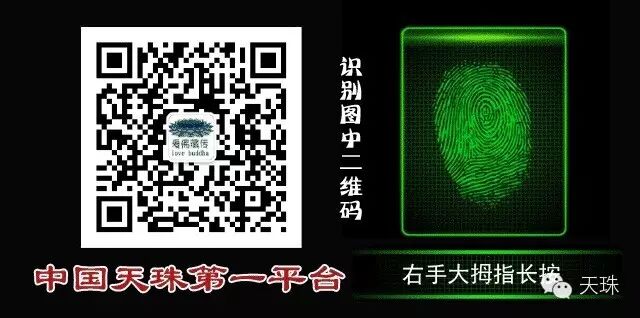 {爱佛天珠}世界最大最珍稀宝石，巨型天珠排名第一！