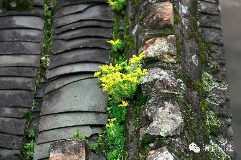 福建山村游记，寻找厦门“小西藏”西坑村— <wbr>罕见美景！
