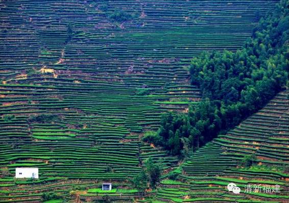 福建山村游记,寻找厦门“小西藏”西坑村— <wbr>罕见美景! 福建山村游记,寻找厦门“小西藏”西坑村— <wbr>罕见美景!