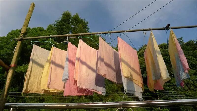 【江西首家九年一贯制传统文化寄宿学校】泰和县伏羲学校秋季招生简章