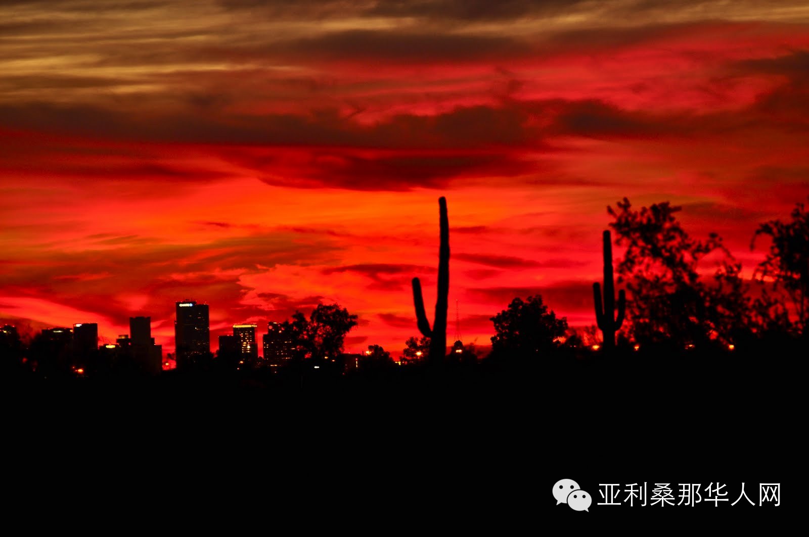 Phoenix broke through 80 degrees Fahrenheit on Wednesday, setting a record high article cover image