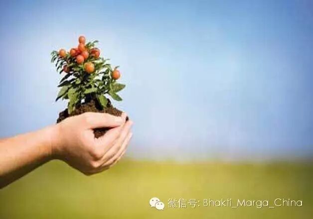 瑜伽日：《薄伽梵歌》建议一定要做这三种瑜伽！